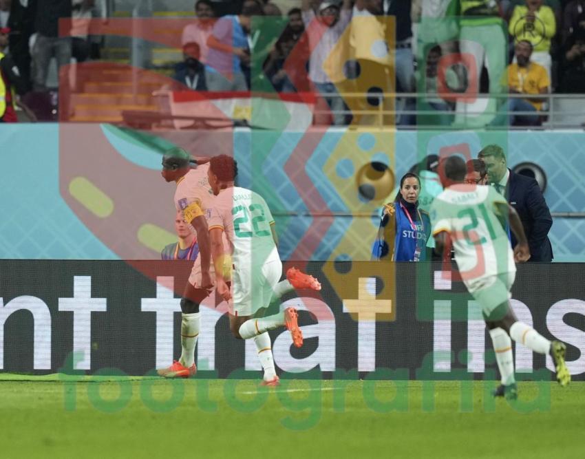 2022 FIFA World Cup - Senegal vs Ecuador