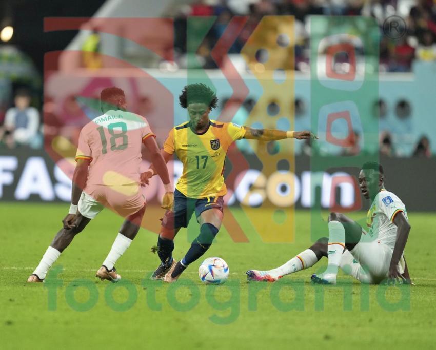 2022 FIFA World Cup - Senegal vs Ecuador