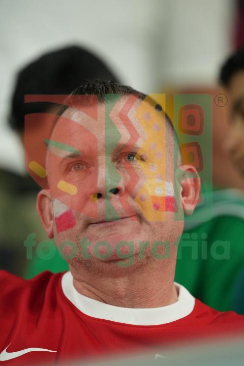 2022 FIFA World Cup - Poland vs Saudi Arabia