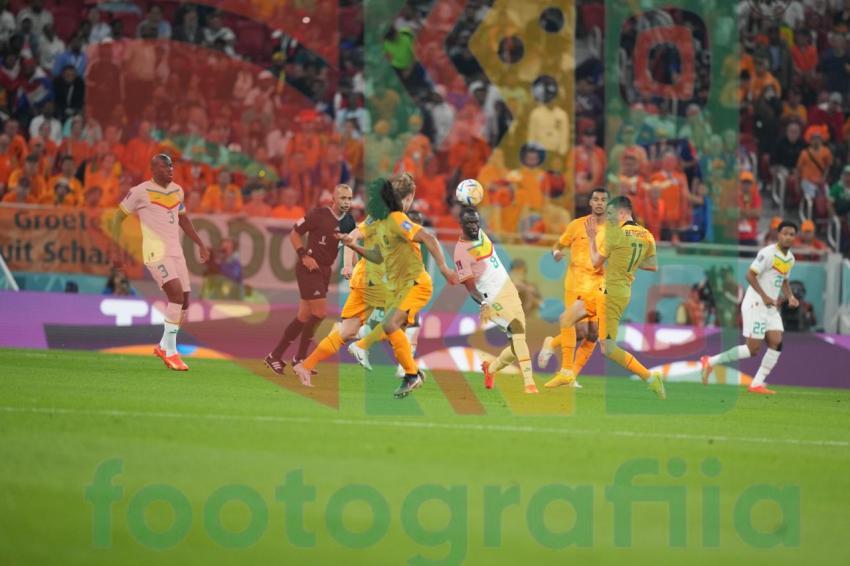 2022 FIFA World Cup - Senegal vs Netherlands