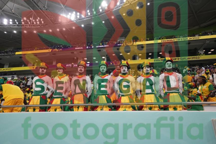 2022 FIFA World Cup - Senegal vs Netherlands