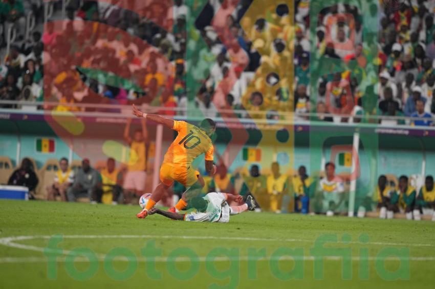 2022 FIFA World Cup - Senegal vs Netherlands