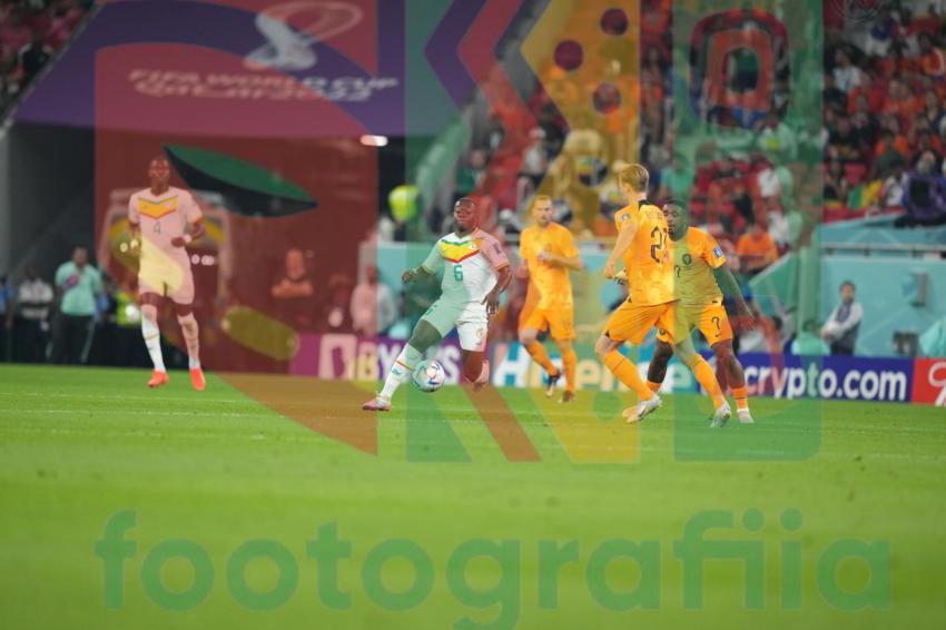 2022 FIFA World Cup - Senegal vs Netherlands