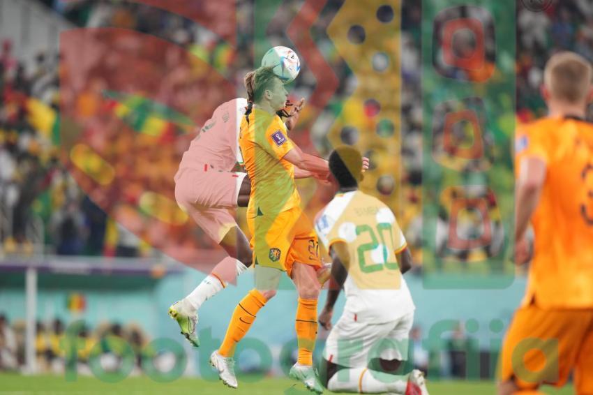 2022 FIFA World Cup - Senegal vs Netherlands