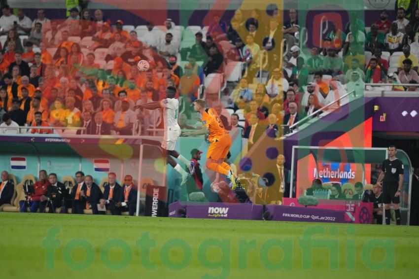 2022 FIFA World Cup - Senegal vs Netherlands