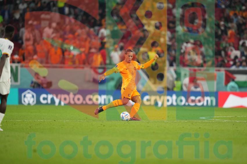 2022 FIFA World Cup - Senegal vs Netherlands