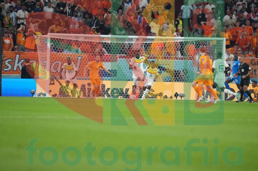 2022 FIFA World Cup - Senegal vs Netherlands