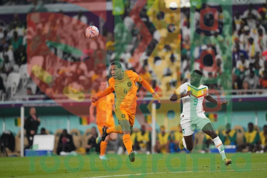 2022 FIFA World Cup - Senegal vs Netherlands