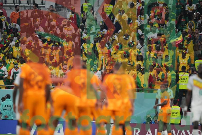 2022 FIFA World Cup - Senegal vs Netherlands