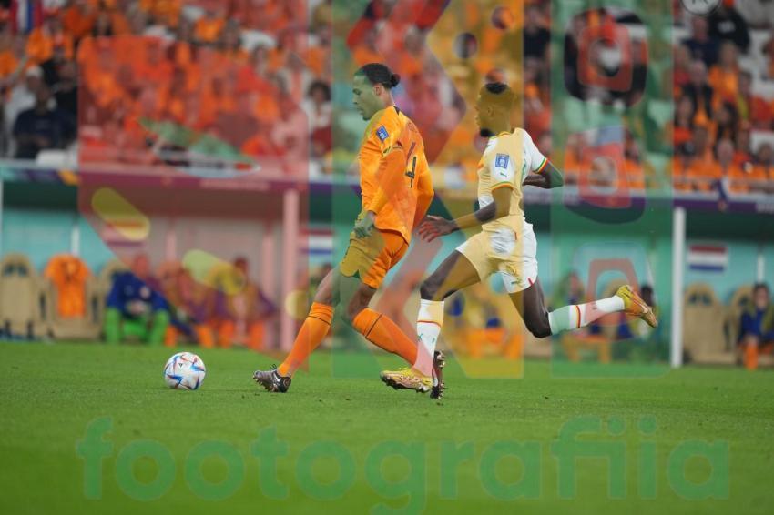 2022 FIFA World Cup - Senegal vs Netherlands
