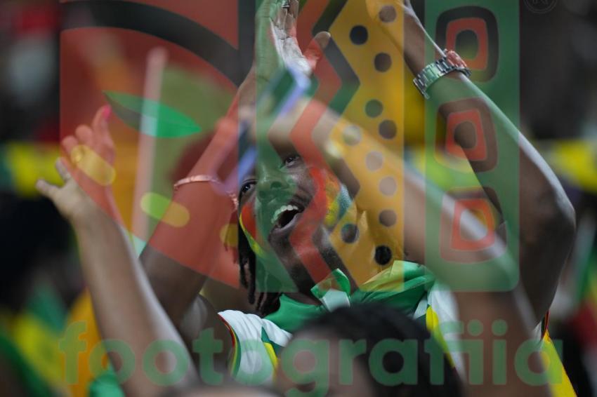 2022 FIFA World Cup - Senegal vs Netherlands