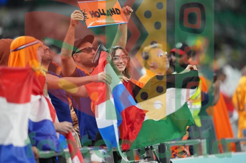 2022 FIFA World Cup - Senegal vs Netherlands