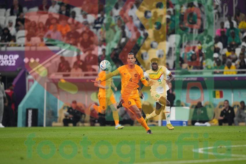 2022 FIFA World Cup - Senegal vs Netherlands