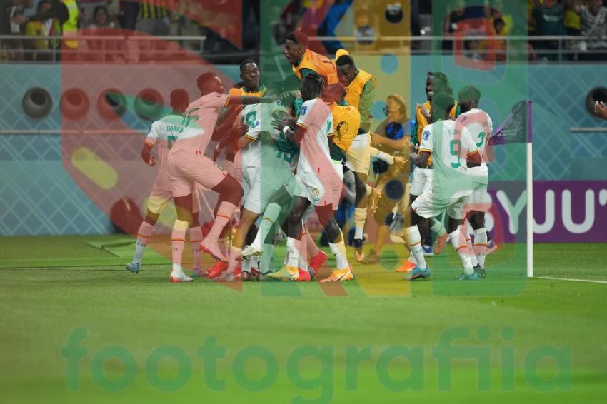 2022 FIFA World Cup - Senegal vs Ecuador