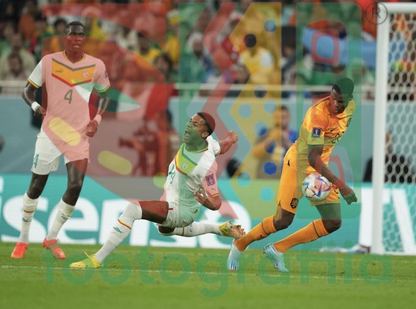 2022 FIFA World Cup - Senegal vs Netherlands