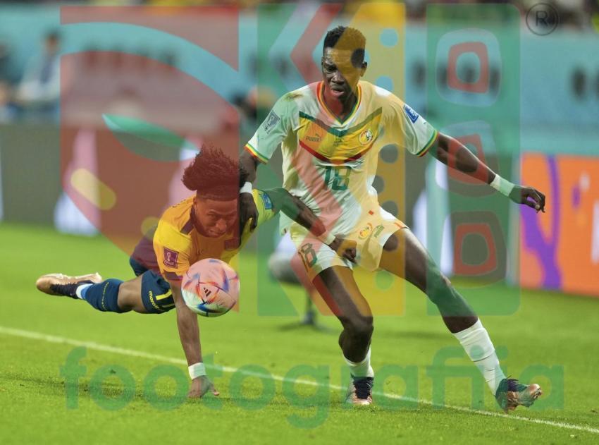 2022 FIFA World Cup - Senegal vs Ecuador