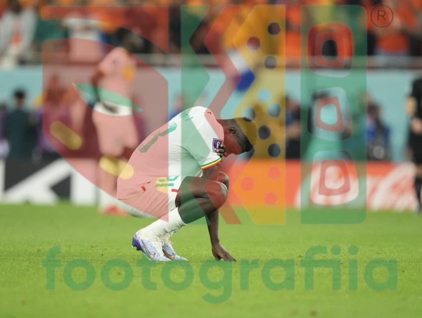 2022 FIFA World Cup - Senegal vs Netherlands