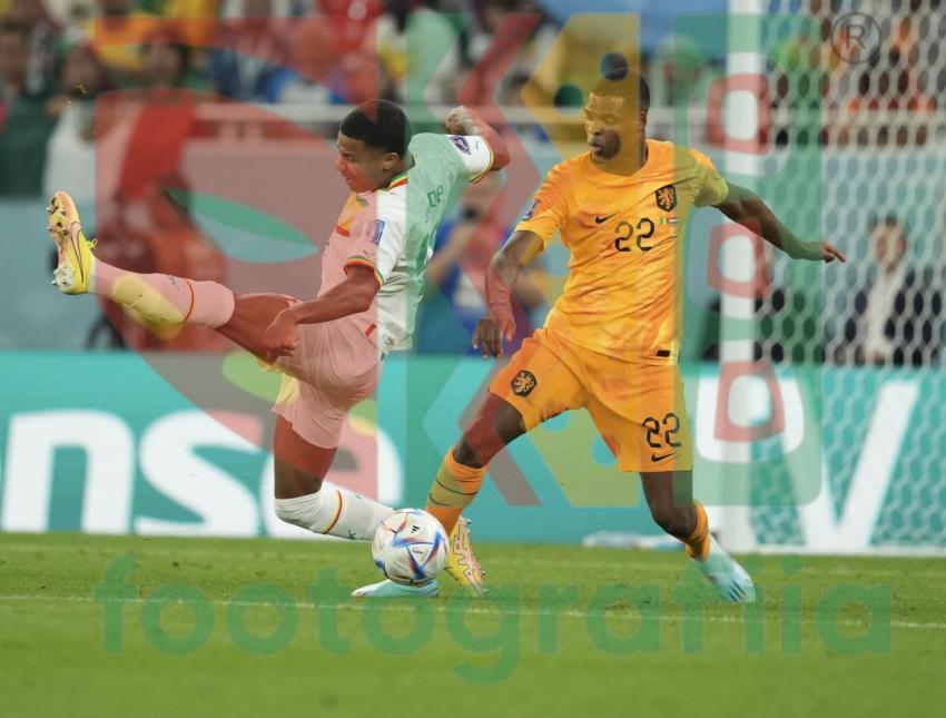2022 FIFA World Cup - Senegal vs Netherlands