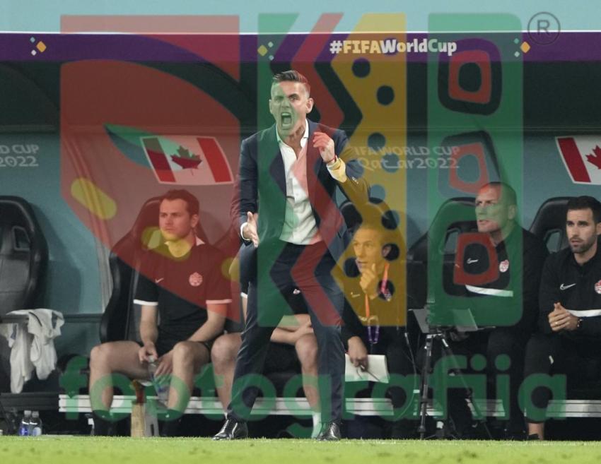 2022 FIFA World Cup - Belgium vs Canada