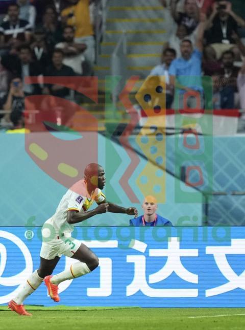 2022 FIFA World Cup - Senegal vs Ecuador