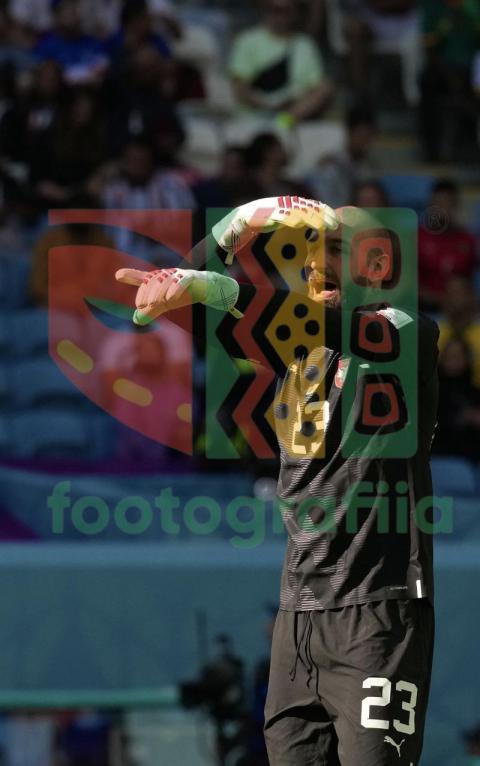2022 FIFA World Cup - Cameroon vs Serbia