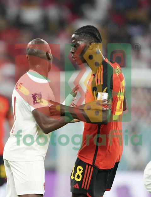 2022 FIFA World Cup - Belgium vs Canada