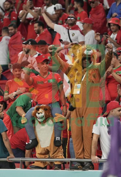 2022 FIFA World Cup - Morocco vs Belgium