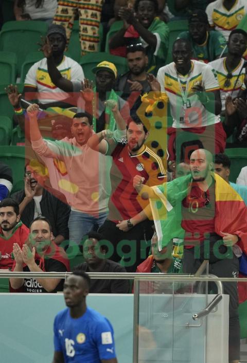 2022 FIFA World Cup - Senegal vs Netherlands
