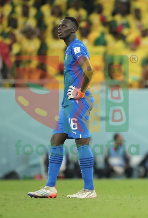 2022 FIFA World Cup - Senegal vs Netherlands