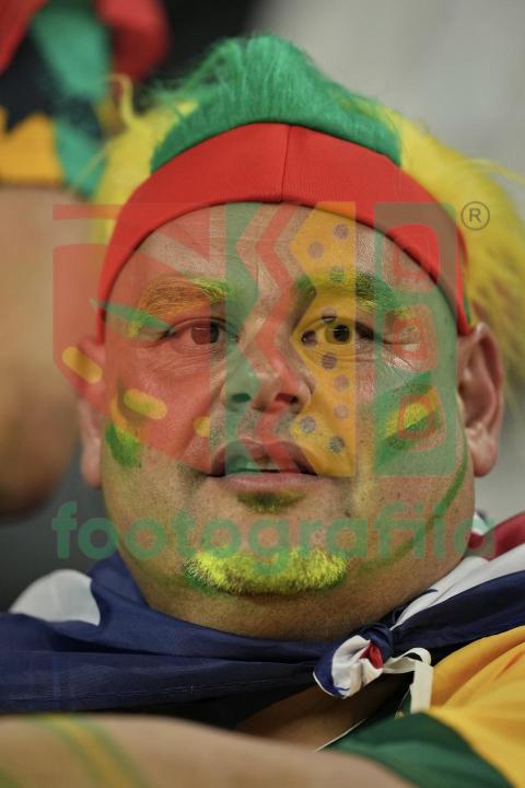 2022 FIFA World Cup - France vs Australia