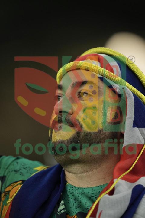2022 FIFA World Cup - France vs Australia