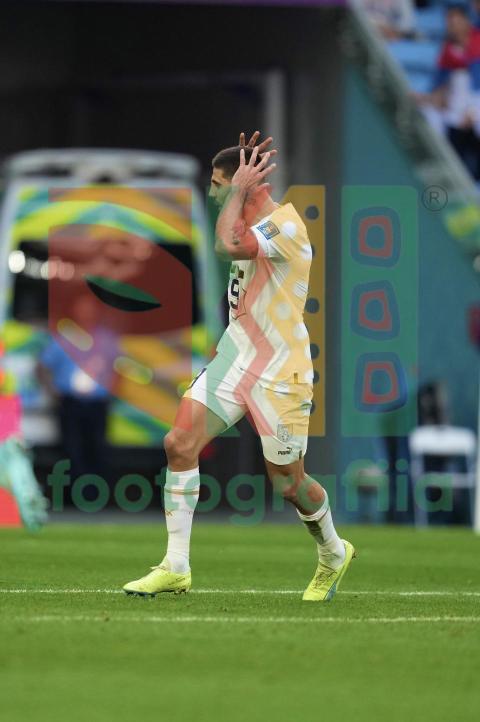 2022 FIFA World Cup - Cameroon vs Serbia