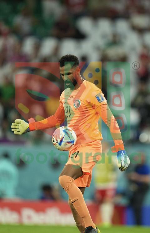 2022 FIFA World Cup - Poland vs Saudi Arabia