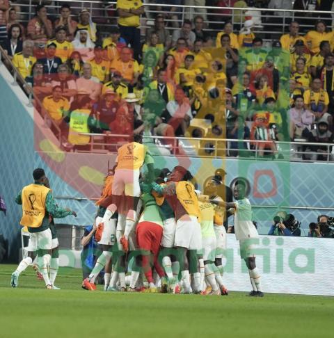 2022 FIFA World Cup - Senegal vs Ecuador